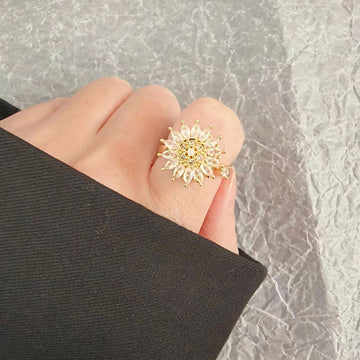 Anillo giratorio de plata de ley